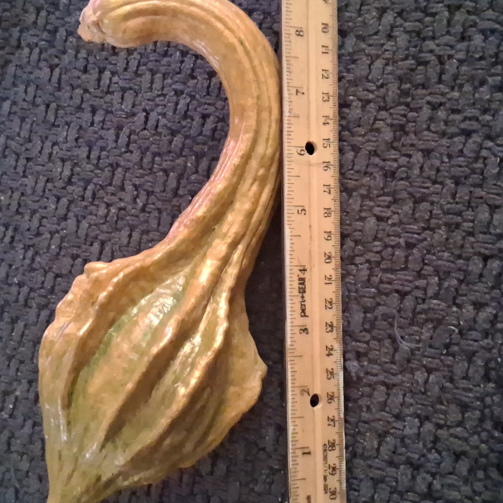 Rustic Dried Gourd Collection - Picture 5 of 9